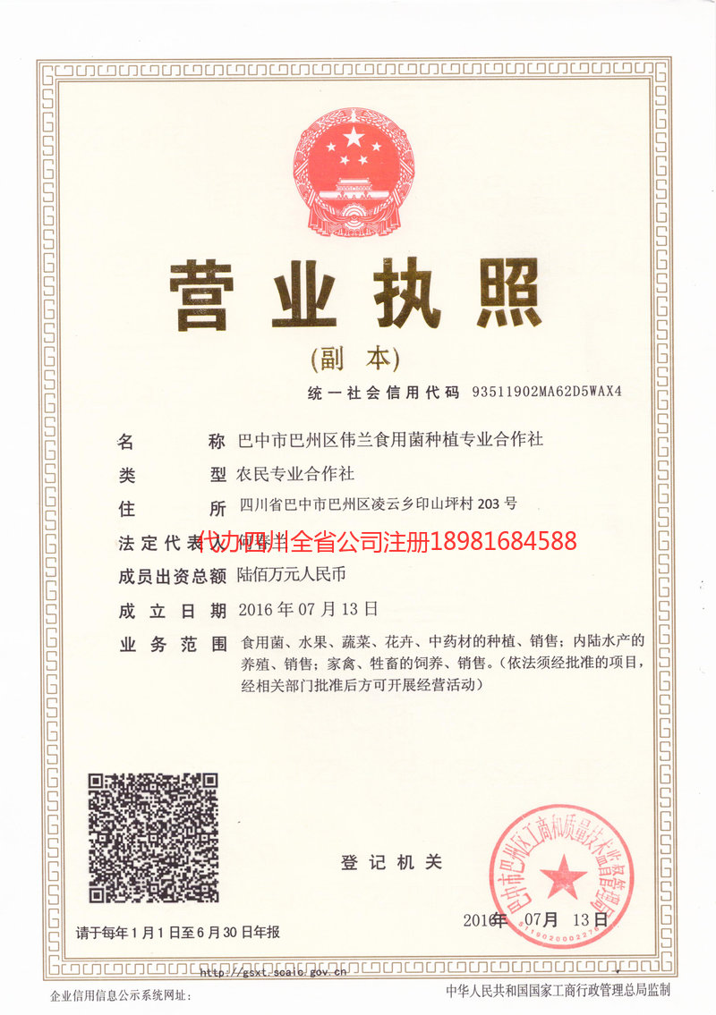 登封登封伟兰食用菌种植专业合作社